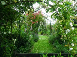 246492_260541954051359_1878926462_n