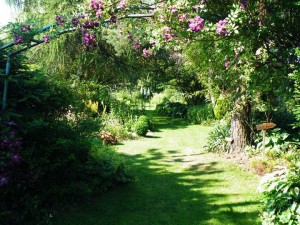 317229_106241986148024_3690406_n