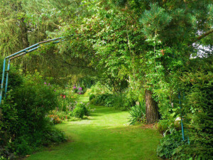 399797_185106924928196_253044793_n