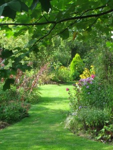 488250_2388780937063_1770750167_n