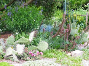 540541_251694778269410_868726966_n